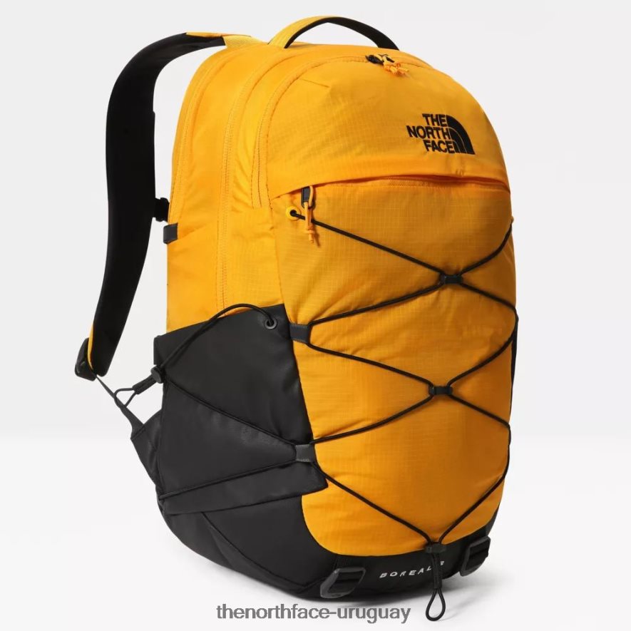 mochila boreal 2RRLTN757 cumbre de oro The North Face