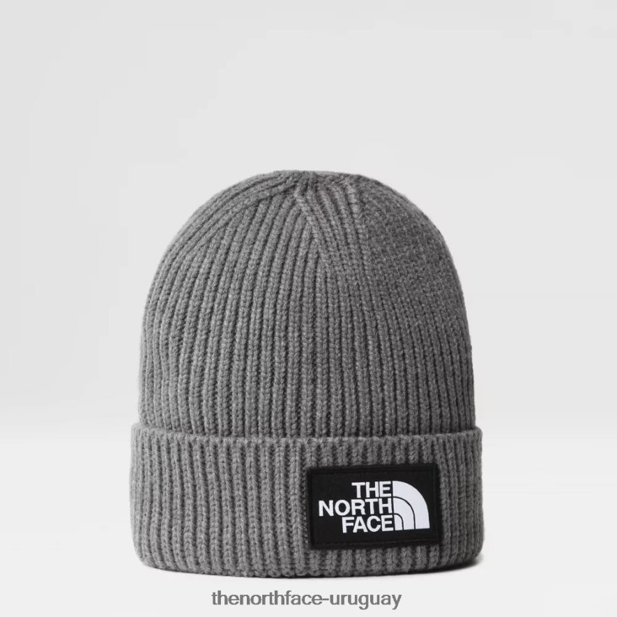 Gorro juvenil con logo en el puño de TNF 2RRLTN1800 gris The North Face