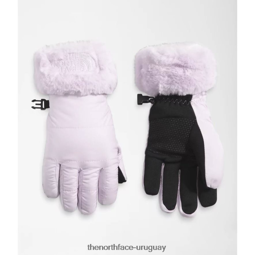 guantes de remolino mossbud para niños 2RRLTN5800 niebla de lavanda The North Face