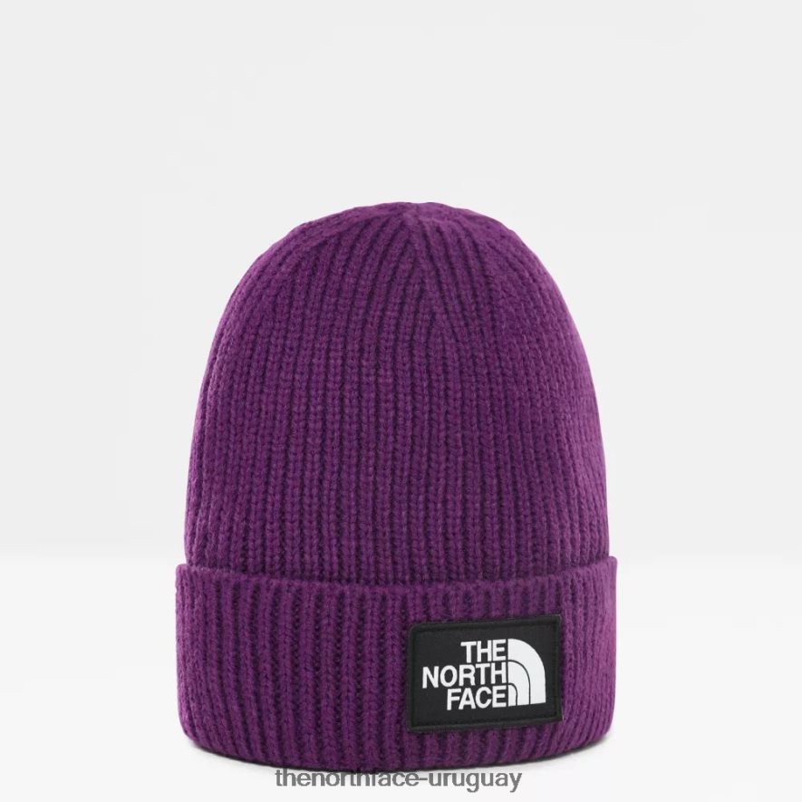 gorro con puños y logo de tnf 2RRLTN116 héroe morado The North Face