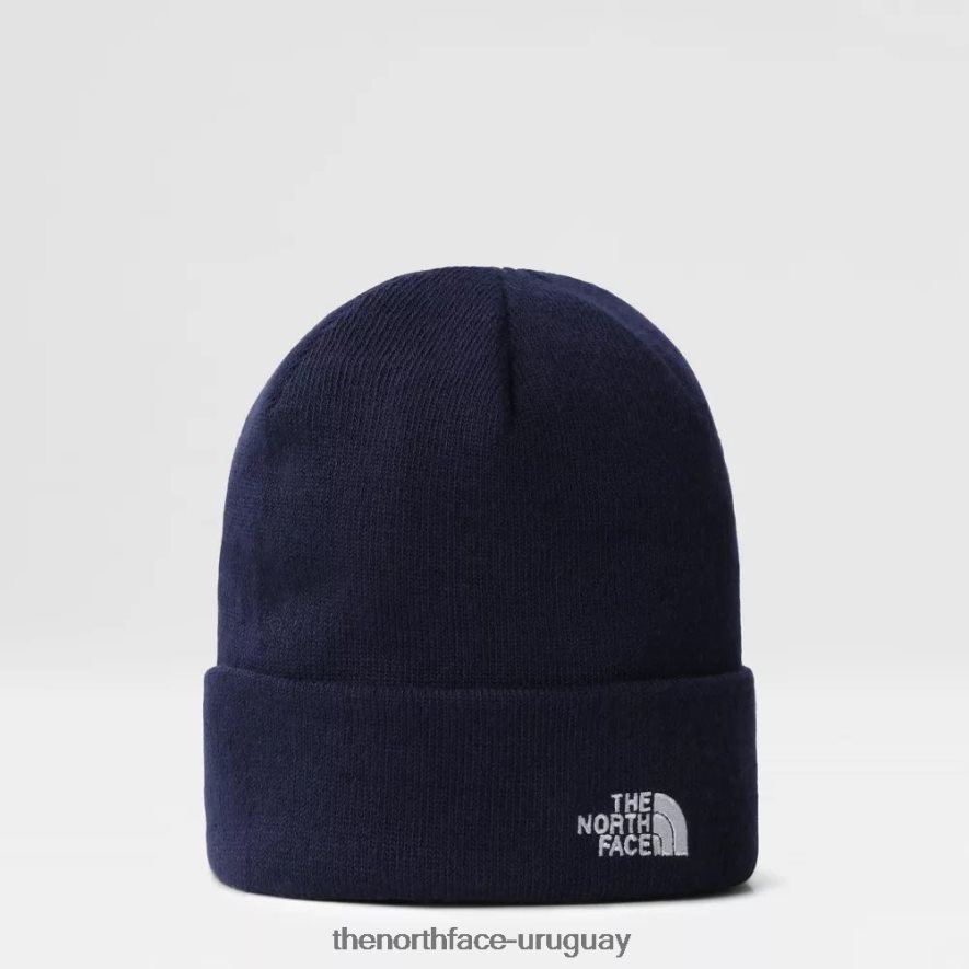 gorro norma superficial 2RRLTN981 cumbre marina The North Face