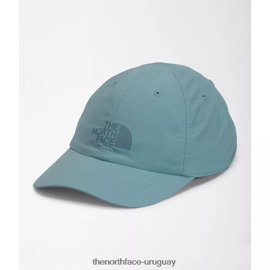 sombrero horizonte 2RRLTN3976 azul The North Face