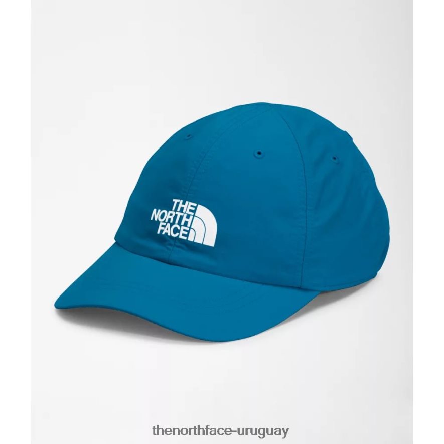 sombrero horizonte 2RRLTN3979 azul banff The North Face