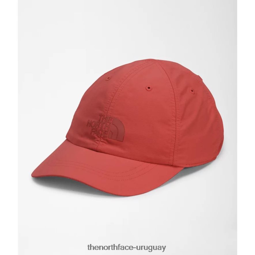 sombrero horizonte 2RRLTN3980 especias rojas The North Face