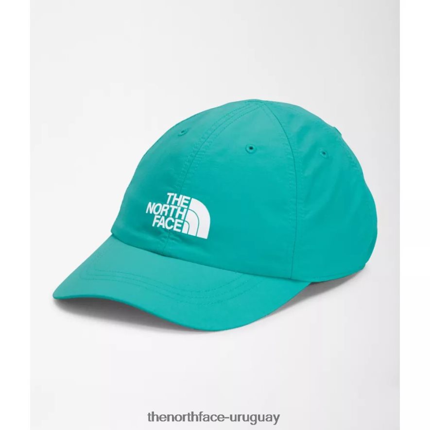 sombrero horizonte 2RRLTN3981 verde porcelana The North Face