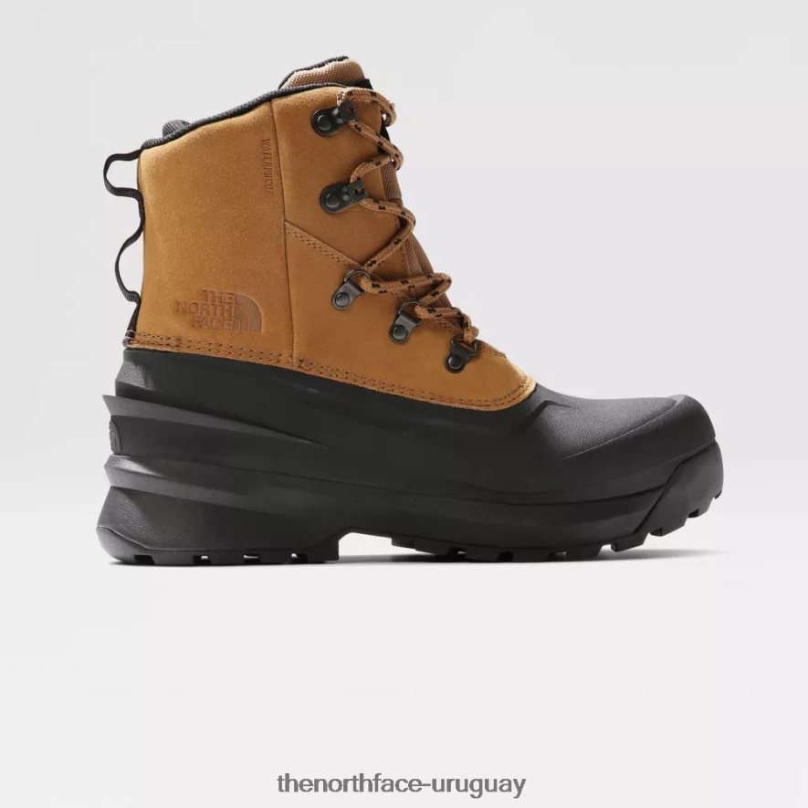 botas de montaña impermeables con encaje chilkat v para hombre 2RRLTN1385 marrón utilitario The North Face