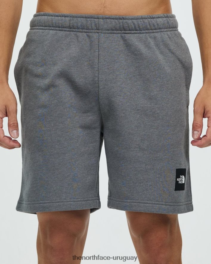 nunca pares de pantalones cortos 2RRLTN6946 gris The North Face