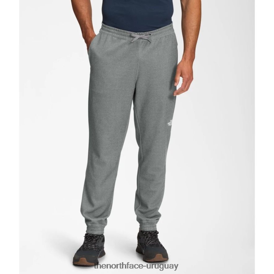 joggers de peso medio de pino grande para hombre 2RRLTN6185 gris The North Face