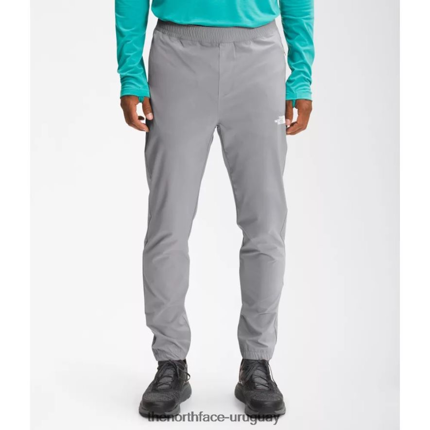 los hombres vagan pantalones 2RRLTN3507 gris The North Face