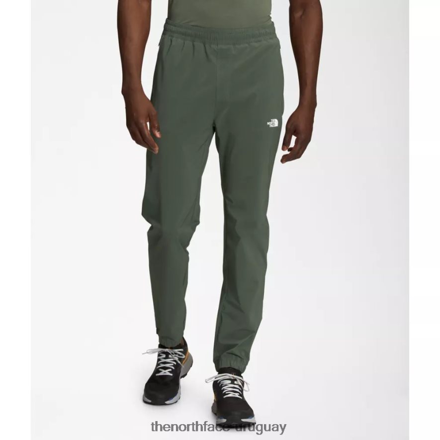 los hombres vagan pantalones 2RRLTN3512 tomillo The North Face