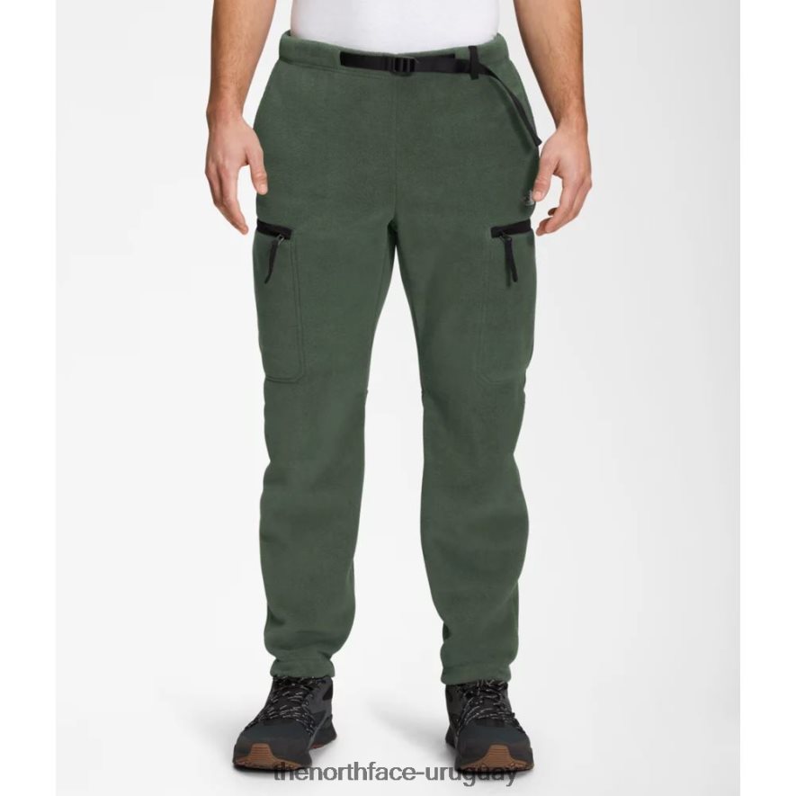 pantalones alpine polartec 200 hombre tomillo negro 2RRLTN5197 tomillo negro The North Face