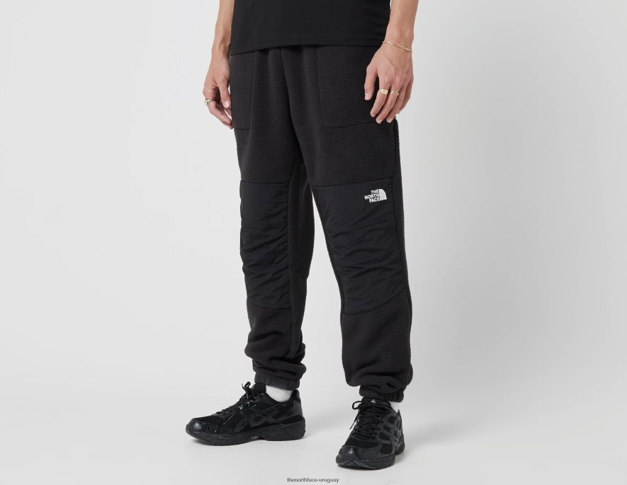 pantalones denali 2RRLTN6856 negro The North Face