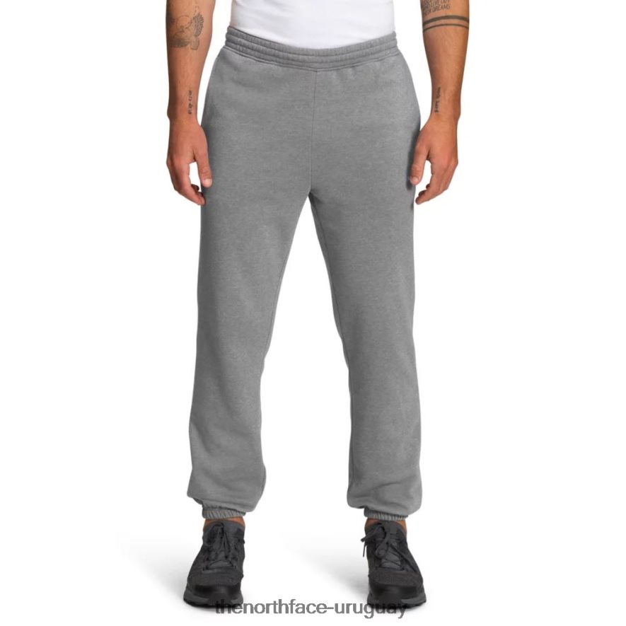 pantalones deportivos de media cúpula para hombre 2RRLTN5439 gris The North Face