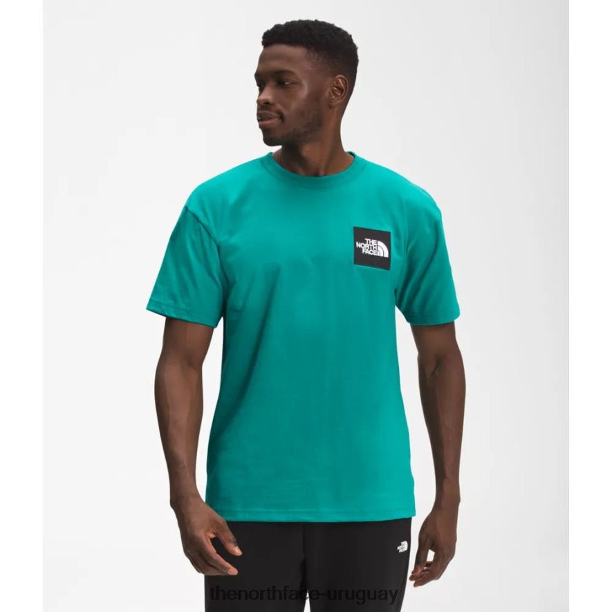 camiseta de manga corta para hombre de peso pesado 2RRLTN4760 verde porcelana The North Face