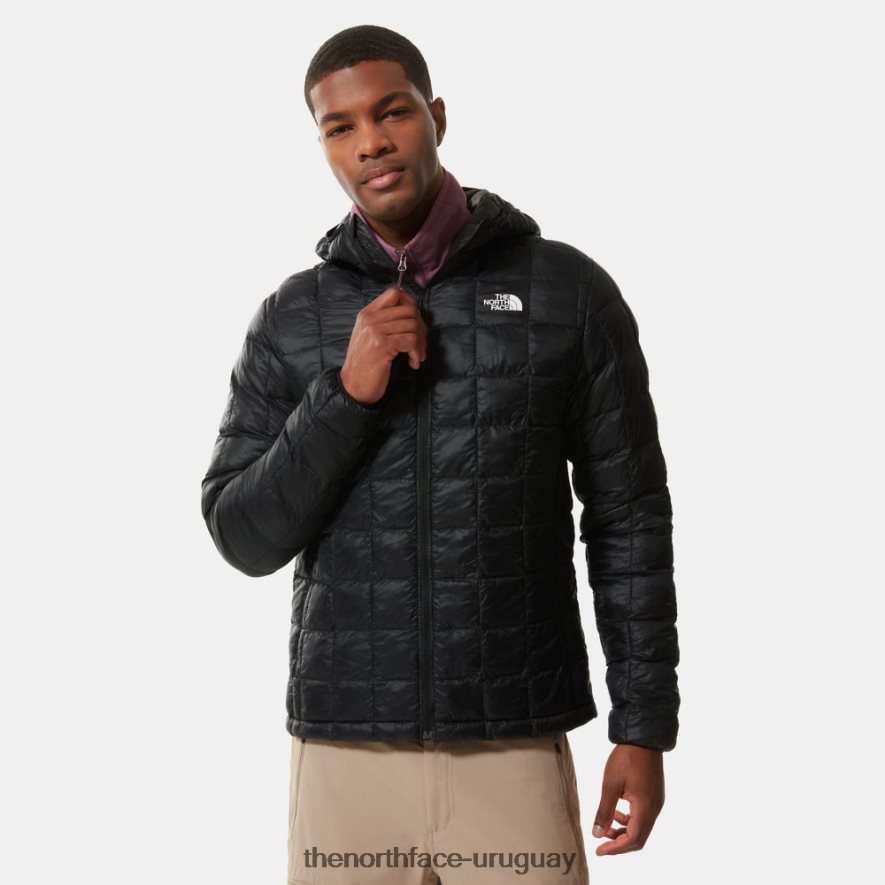 chaqueta con capucha termoball eco hombre 2RRLTN1091 negro The North Face