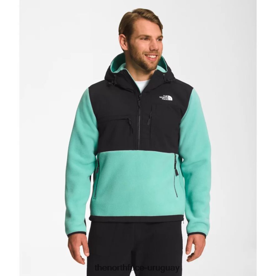 anorak hombre denali 2RRLTN5593 wasabi The North Face