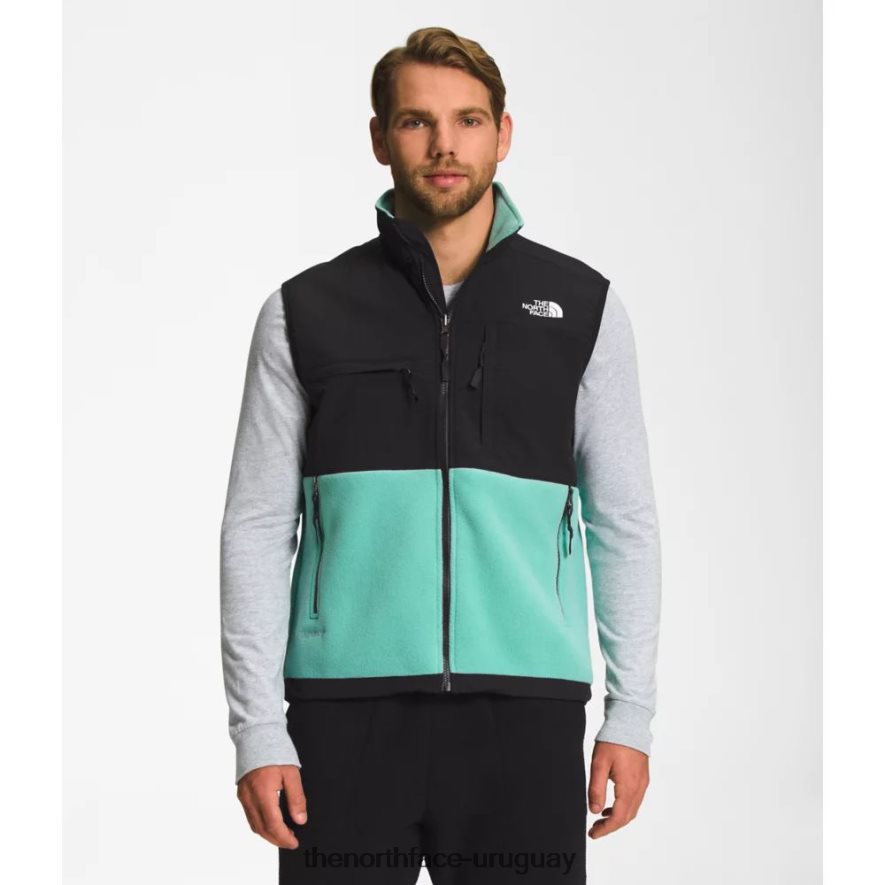 chaleco denali para hombre 2RRLTN5595 wasabi The North Face