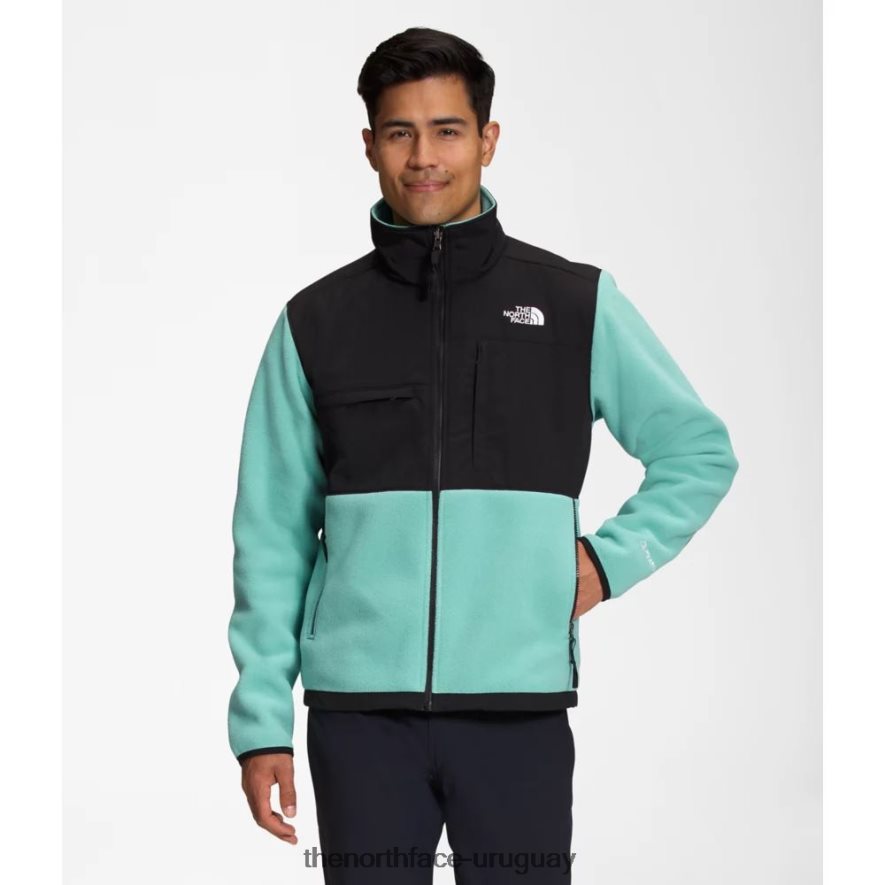 chaqueta denali para hombre nueva 2RRLTN5590 wasabi The North Face