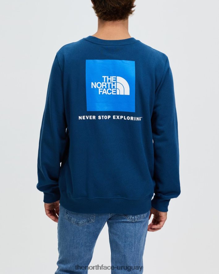 sudadera box nse 2RRLTN6919 azul The North Face