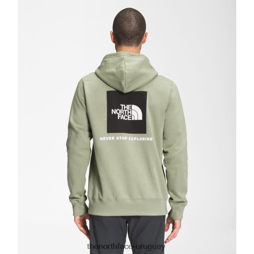 sudadera con capucha box nse para hombre 2RRLTN3350 té verde The North Face