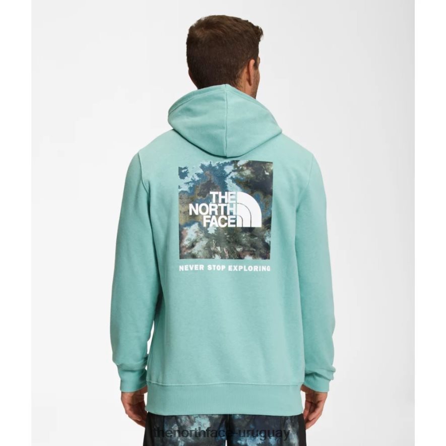 sudadera con capucha con estampado de caja nse para hombre 2RRLTN6245 wasabi The North Face