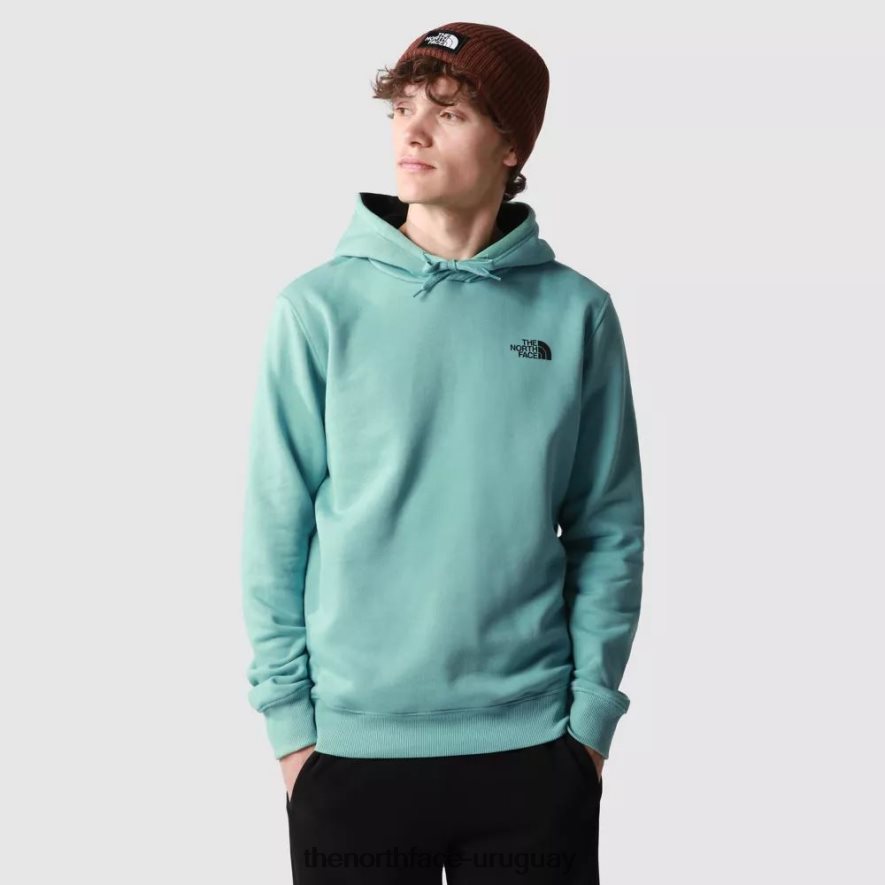 sudadera con capucha de hombre de temporada 2RRLTN5 wasabi The North Face