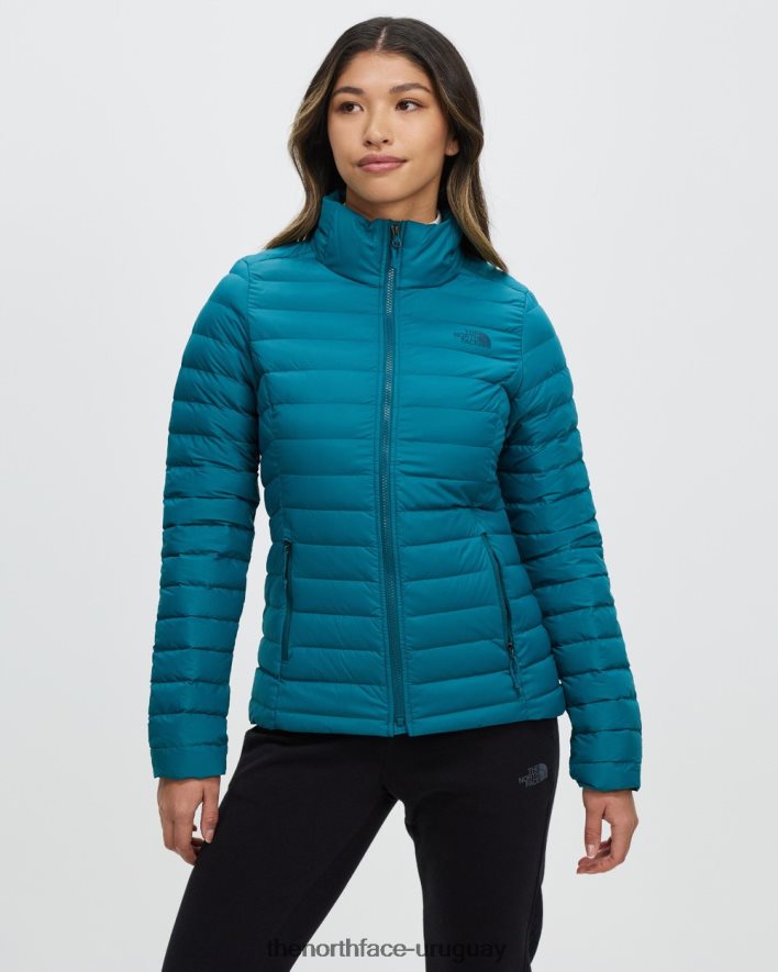 chaqueta elástica 2RRLTN7210 abeto sombreado The North Face