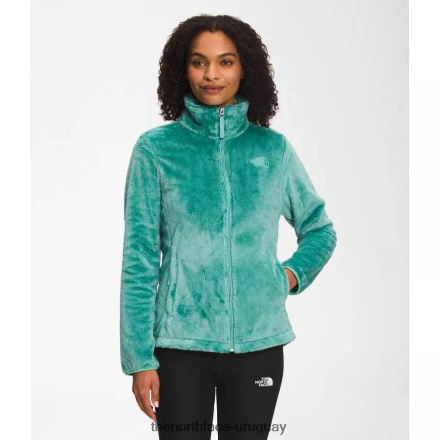 chaqueta osito mujer 2RRLTN5569 wasabi The North Face