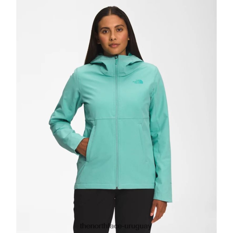 sudadera shelbe raschel mujer 2RRLTN3616 wasabi The North Face