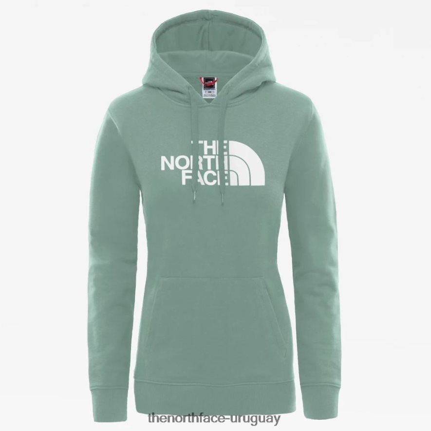 nueva sudadera con capucha pico 2RRLTN2419 verde jadeíta The North Face