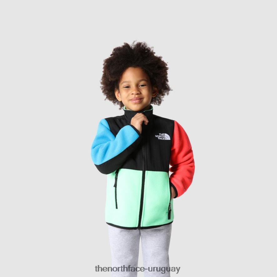 chaqueta denali para niños 2RRLTN1671 verde clorofila The North Face