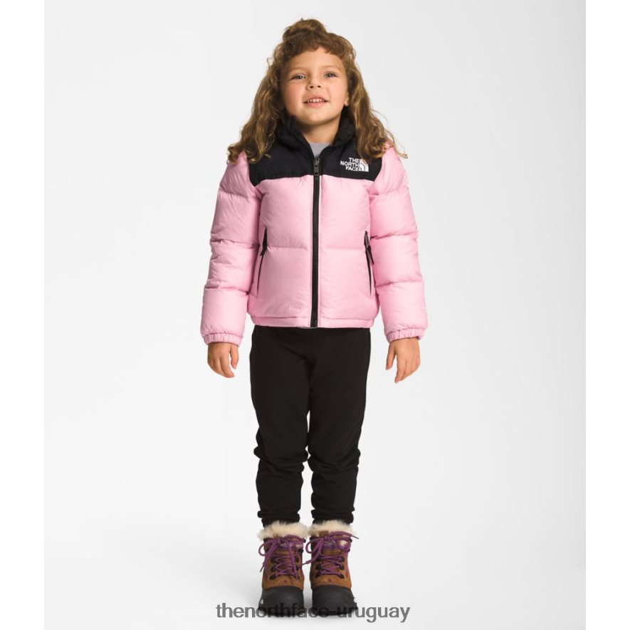 chaqueta nuptse retro 1996 para niños 2RRLTN5932 camafeo rosa The North Face