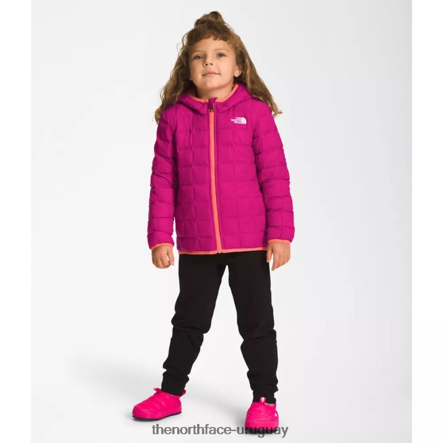 chaqueta termoball con capucha para niños 2RRLTN6009 rosa fucsia The North Face