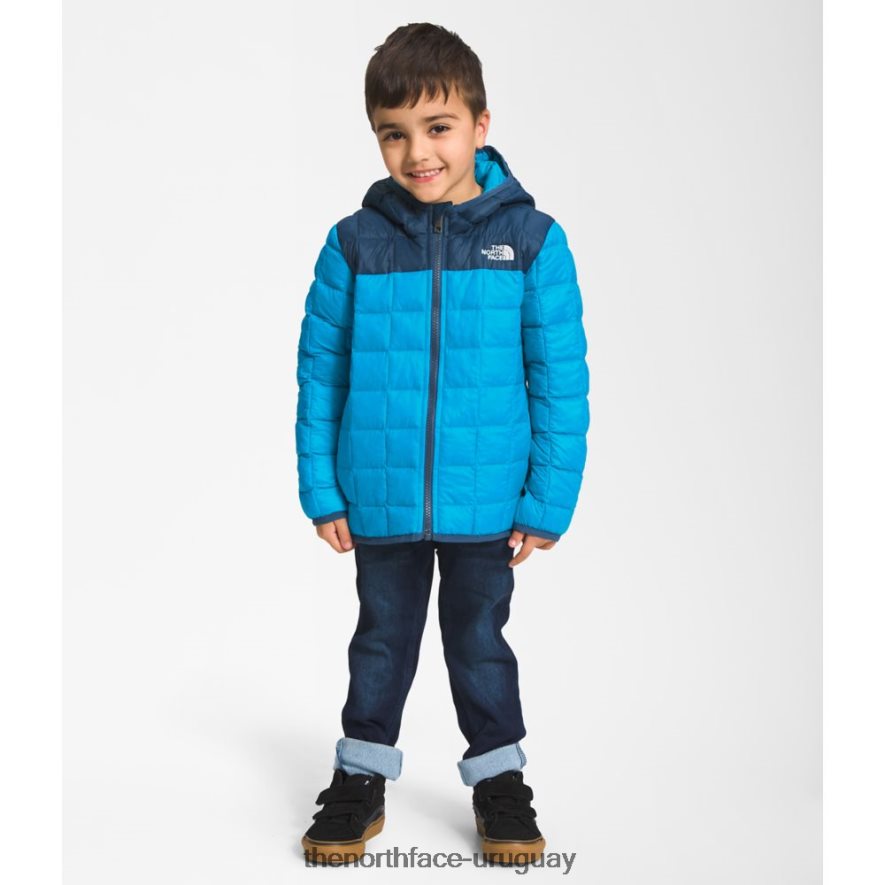 chaqueta termoball con capucha para niños 2RRLTN6013 azul The North Face