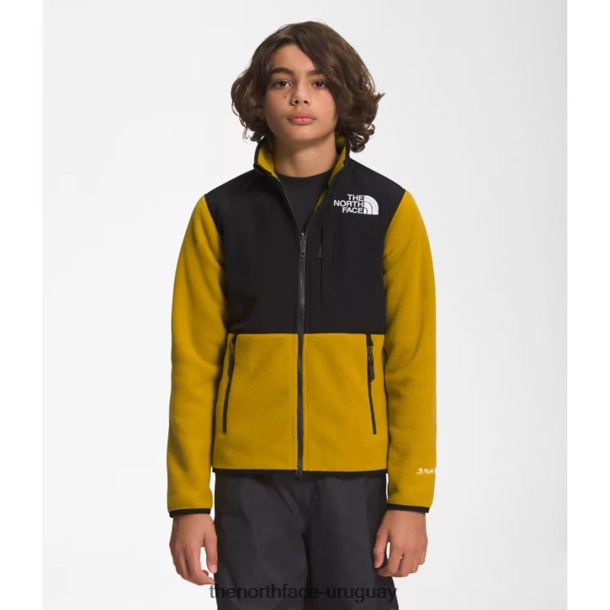 chaqueta denali adolescente 2RRLTN5353 oro mineral The North Face