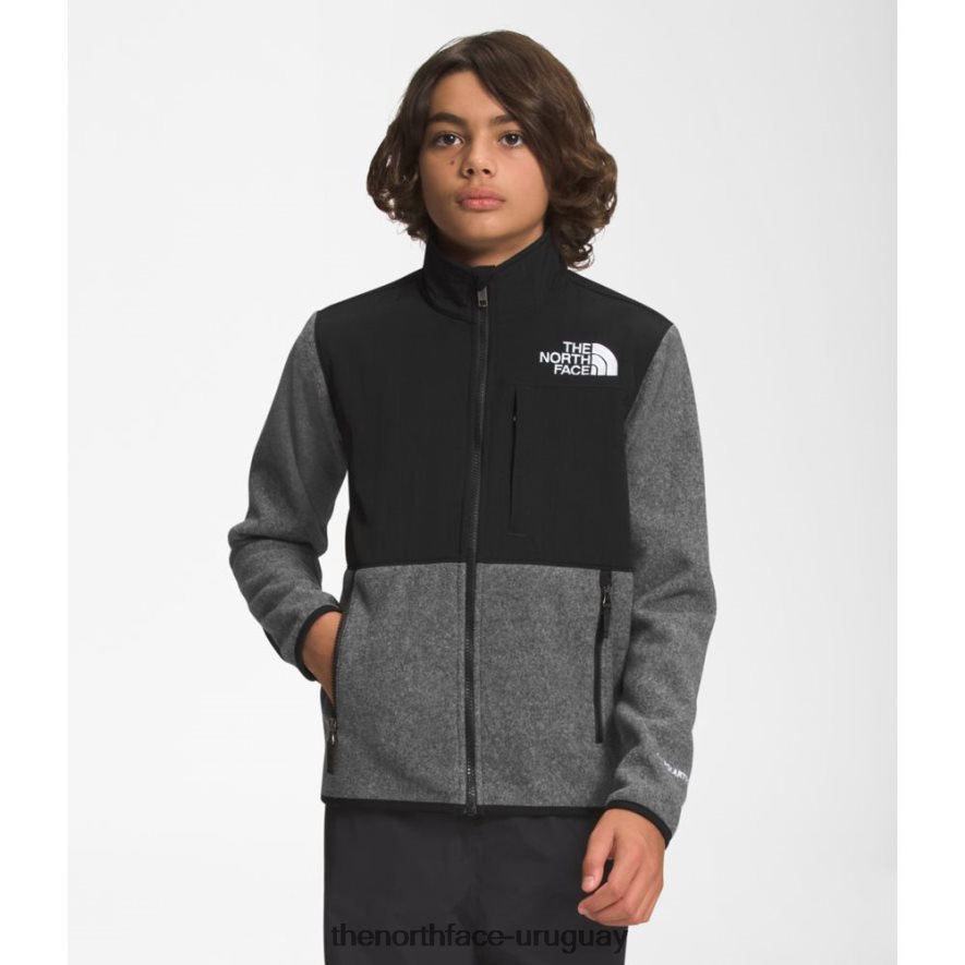 chaqueta denali adolescente 2RRLTN5354 gris The North Face