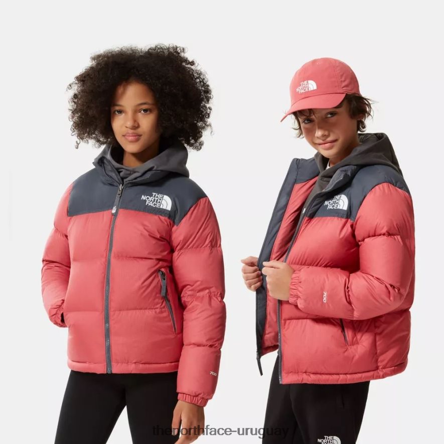 chaqueta nuptse retro para adolescentes de 1996 2RRLTN671 rosa pizarra The North Face