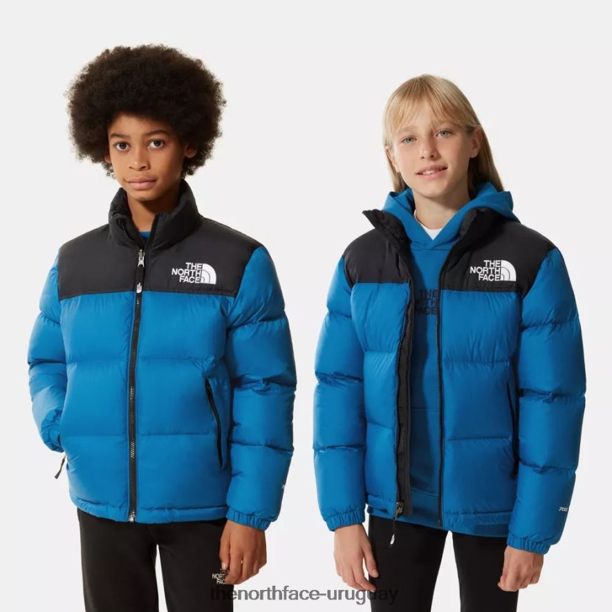 chaqueta nuptse retro para adolescentes de 1996 2RRLTN675 azul banff The North Face