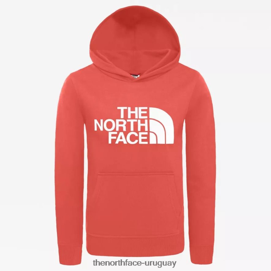 sudadera con capucha para jóvenes 2RRLTN2295 naranja resplandor The North Face