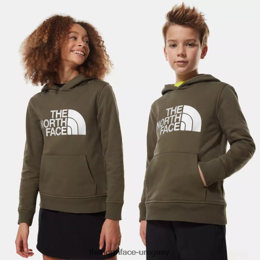 sudaderas con capucha de Teen Drew Peak 2RRLTN67 nuevo verde pardo The North Face